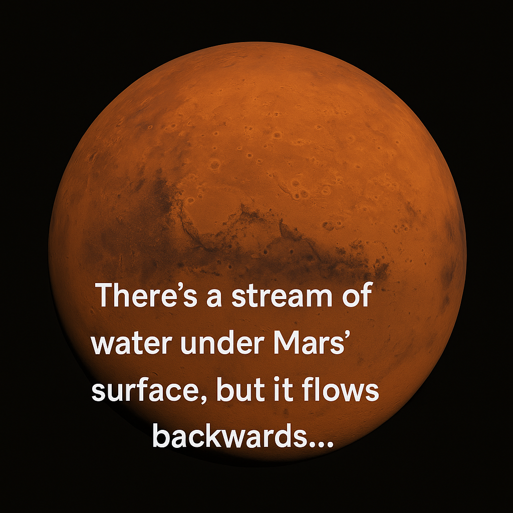 The original image