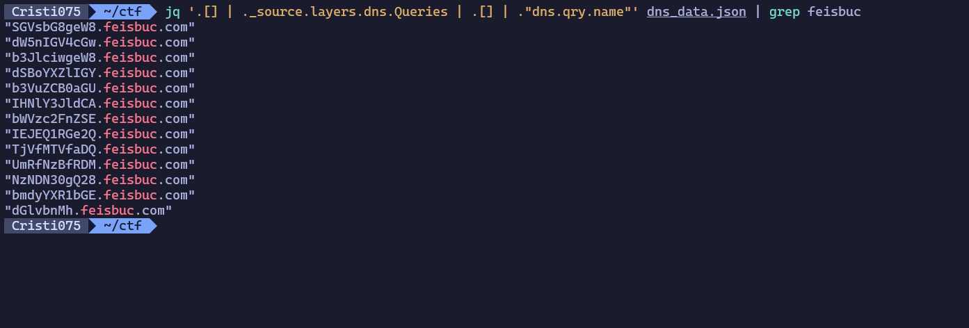 Extracted DNS data